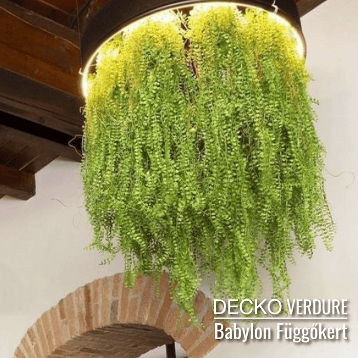 DECKO <b>Verdure Babylon</b> - <b>SENNA</b> -  2 x 3 db-os függő műnövény szett